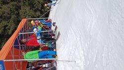 IMG 20250309_104538