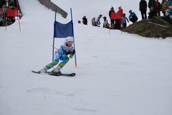 IMG-20260301-WA0008 copy