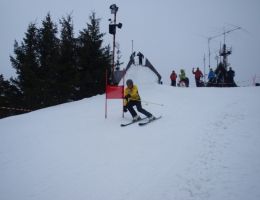 LZS_14