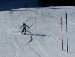 Foto_2