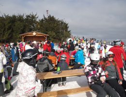 foto_15