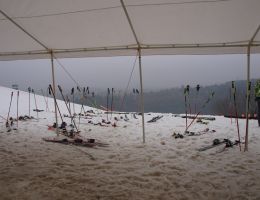 foto_1