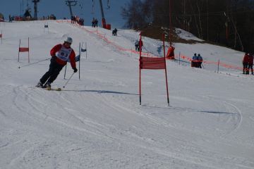 Pohár o liščí ohon 2013 