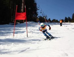 foto_14